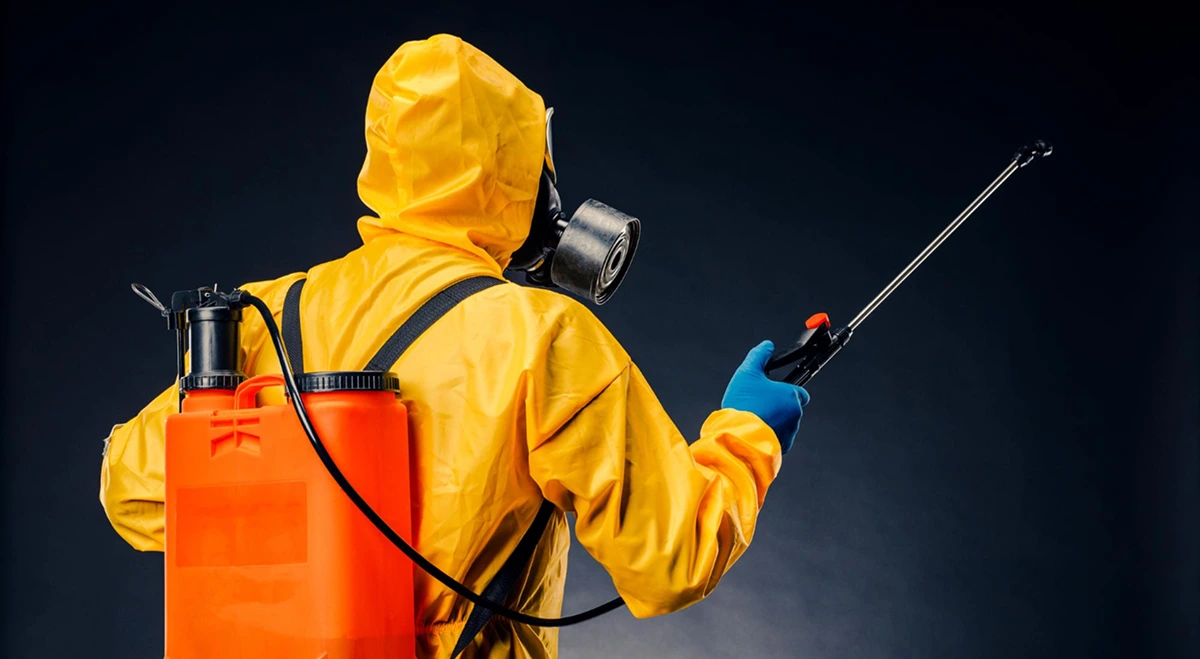 Больше целевых обращений для сервиса дезинсекции