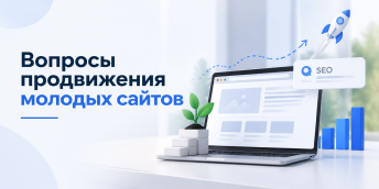 Вопросы продвижения молодых сайтов