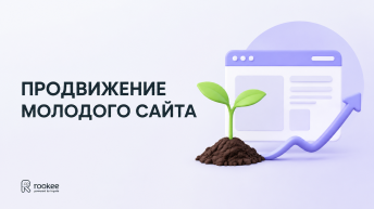 Продвижение молодого сайта