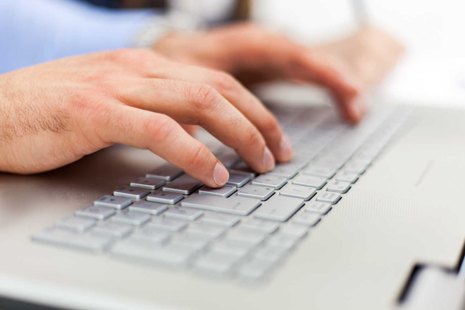 Кот в мешке, или сценарии непризнанных гениев