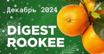 Дайджест главных новостей SEO от Rookee – декабрь 2024