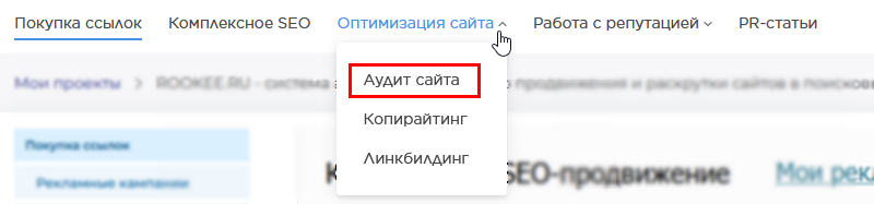 Оптимизация сайта_аудит.png
