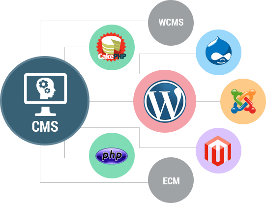 CMS WordPress WordPress