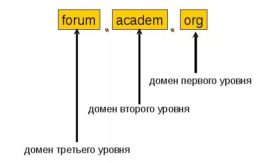 Мой домен точка онион твой домен точка ком