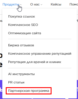 раздел партнерская программа.png
