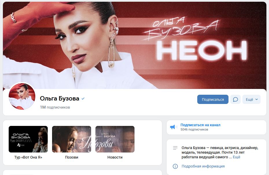 группа Бузовой ВК.JPG