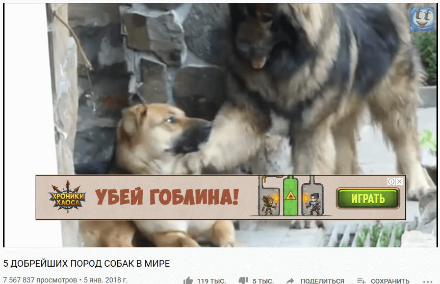 Баннер с рекламой игры в видео про собак