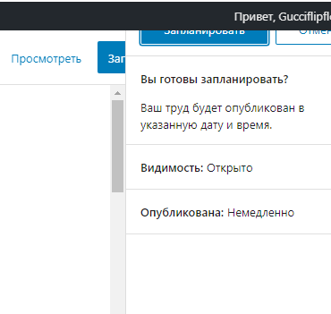 Запланировать публикацию страницы WordPress