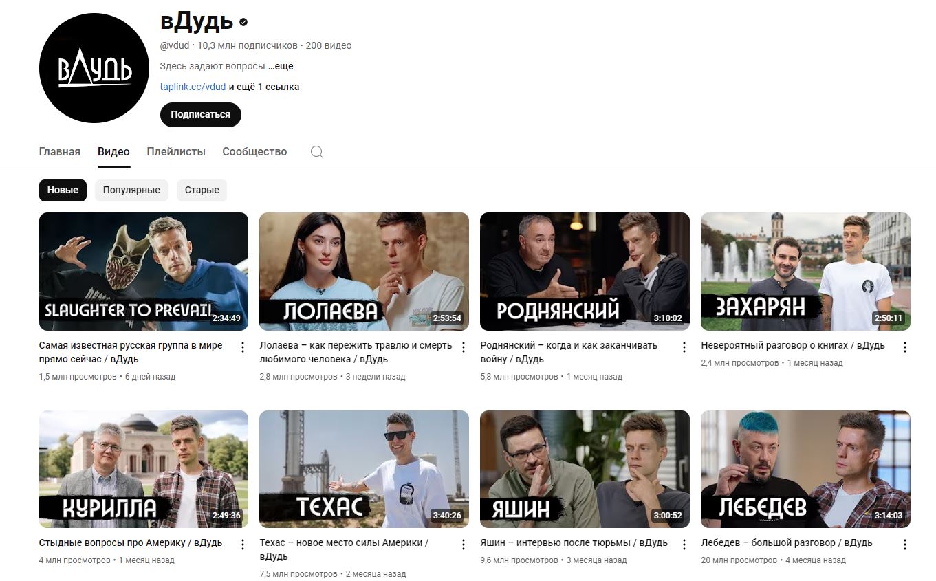 лидер мнений дудь.JPG